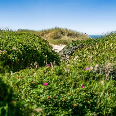 Rutha - 45m From The Sea By Interhome Feriehus